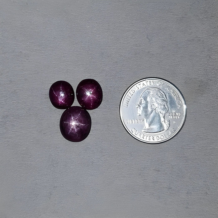 20.45cts Natural Untreated Star Ruby Gemstone Oval Shape Cabochon 10.5*9mm - 13*11mm 3pcs