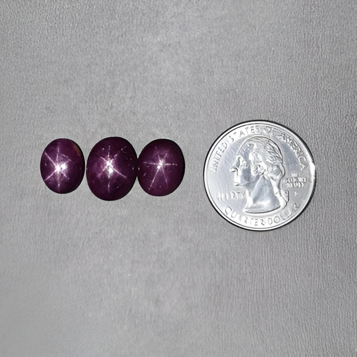 31.05cts Natural Untreated Star Ruby Gemstone Oval Shape Cabochon 12*9mm - 14*10.5mm 3pcs