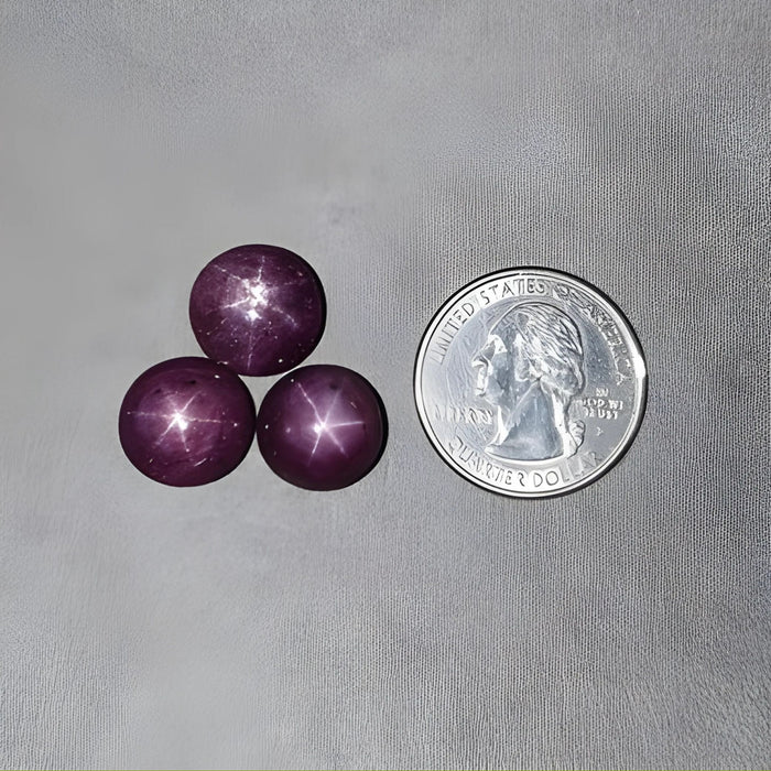 48.00cts Natural Untreated Star Ruby Gemstone Round Shape Cabochon 12.5mm - 13.5mm 3pcs