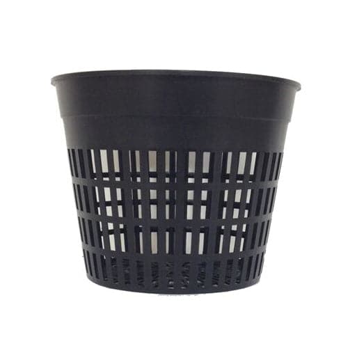 A TAS 5in Net Cups with even drainage for healthier roots.