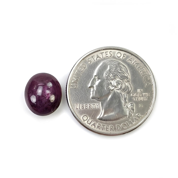 6.00cts Natural Untreated Star Ruby Gemstone Oval Shape Cabochon 11.5*10mm
