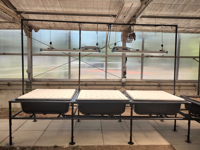 Two AquaBundance Raft Boards in an Aquaponics For Life greenhouse with lights on them.