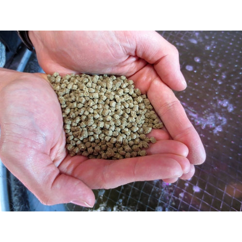 AquaOrganic - Aquaponics For Life