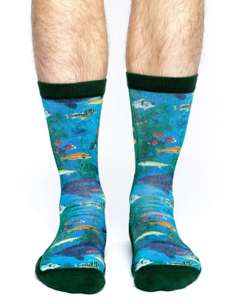 Aquarium Active Fit