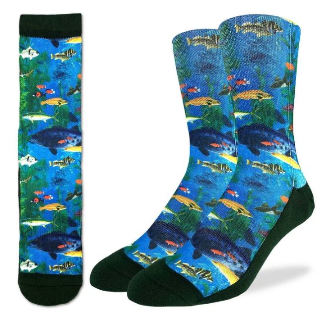 Aquarium Active Fit