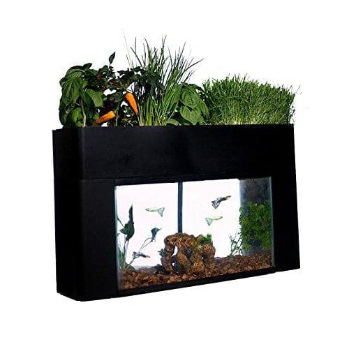 AquaSprouts Garden - Aquaponics For Life