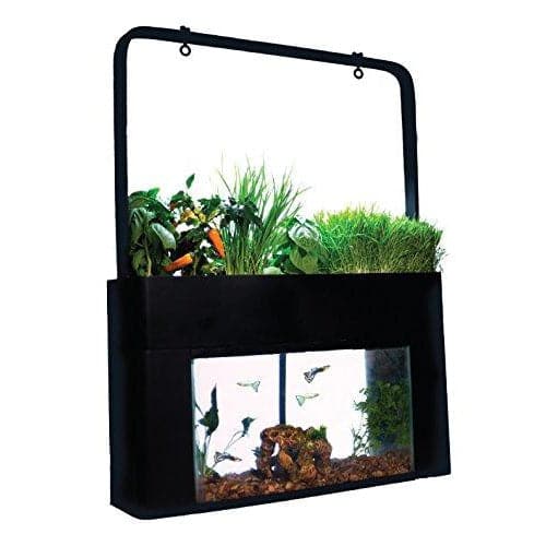 AquaSprouts Garden - Aquaponics For Life