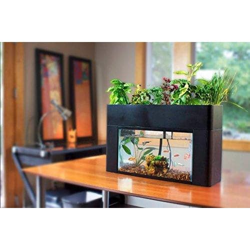 AquaSprouts Garden - Aquaponics For Life