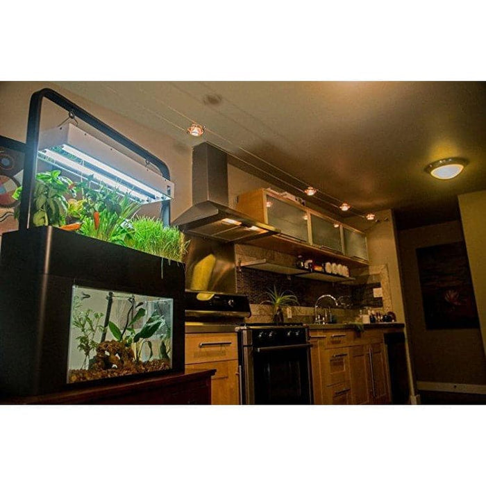 AquaSprouts Garden - Aquaponics For Life