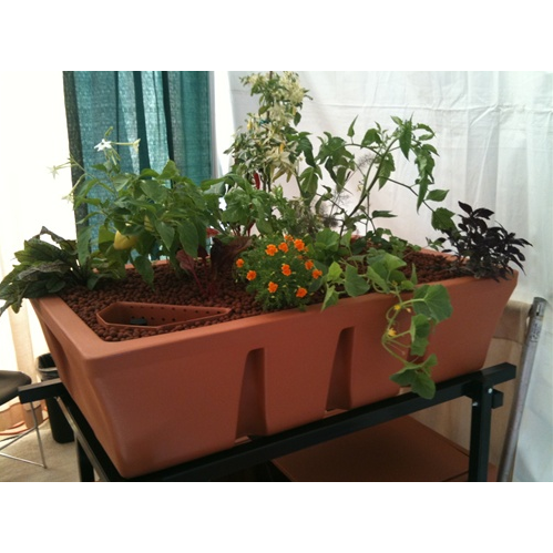 AquaBundance Sleek Aquaponics Grow Bed – Flood and Drain - Aquaponics For Life