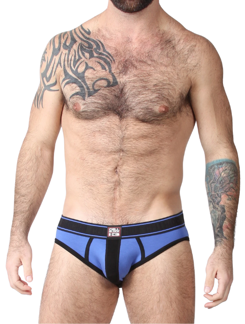Atlas Brief