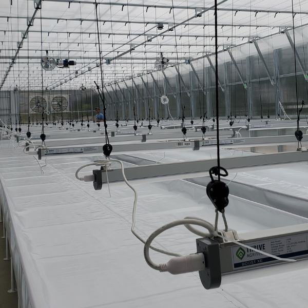 Rows of covered growing beds and daisy-chained Boost LED lights are connected with the TAS Boost and Infinity Power Interconnection Cable inside a modern greenhouse with a transparent roof and ventilation fans.