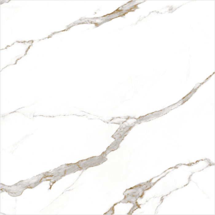 Carrara Plus 22x22 Glossy Marble Look Ceramic Tile