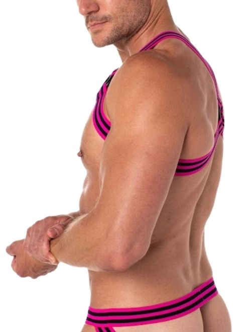 Circuit Neon Pink Strap Harness
