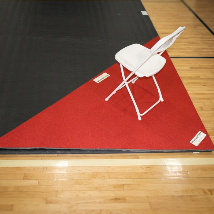 Coaches Area Mat Protectors (Pair)