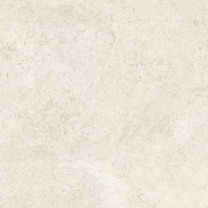 Coquina Off White 32x32 Shellstone Look Porcelain Tile