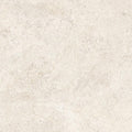 Coquina Off White 32x32 Shellstone Look Porcelain Tile