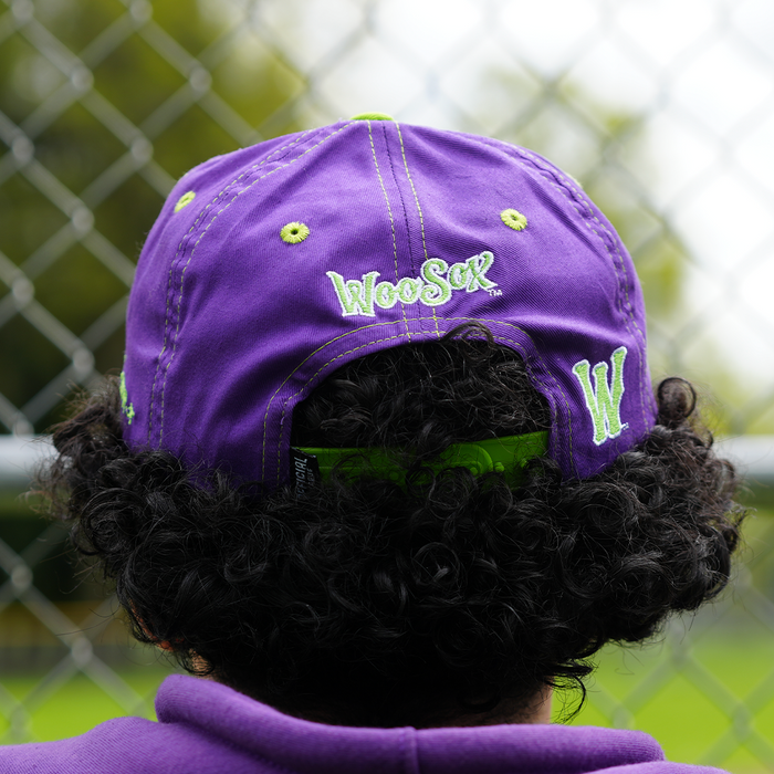 [ Dinosaur Jr. X Worcester Red Sox ] The Poppy