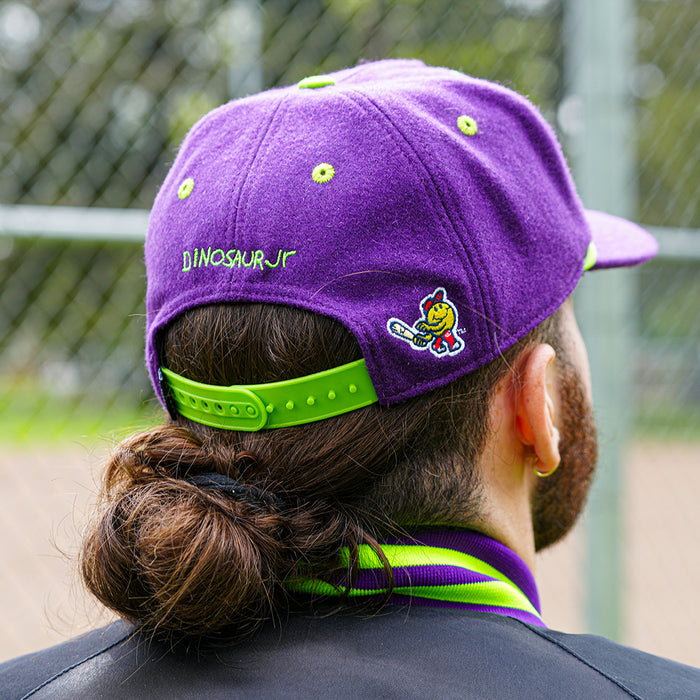 [ Dinosaur Jr. X Worcester Red Sox ] The Wooly