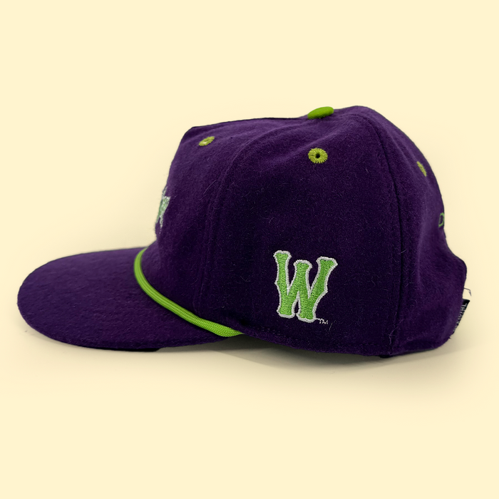 [ Dinosaur Jr. X Worcester Red Sox ] The Wooly