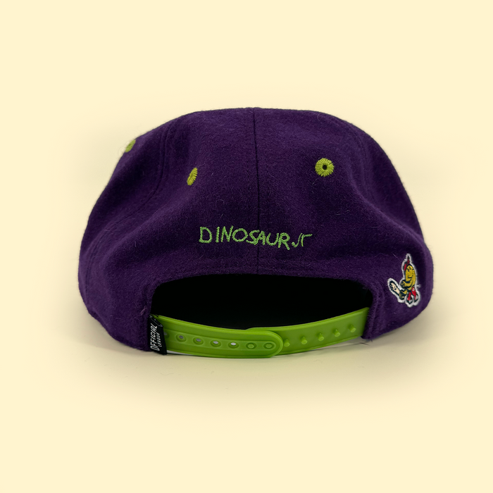 [ Dinosaur Jr. X Worcester Red Sox ] The Wooly