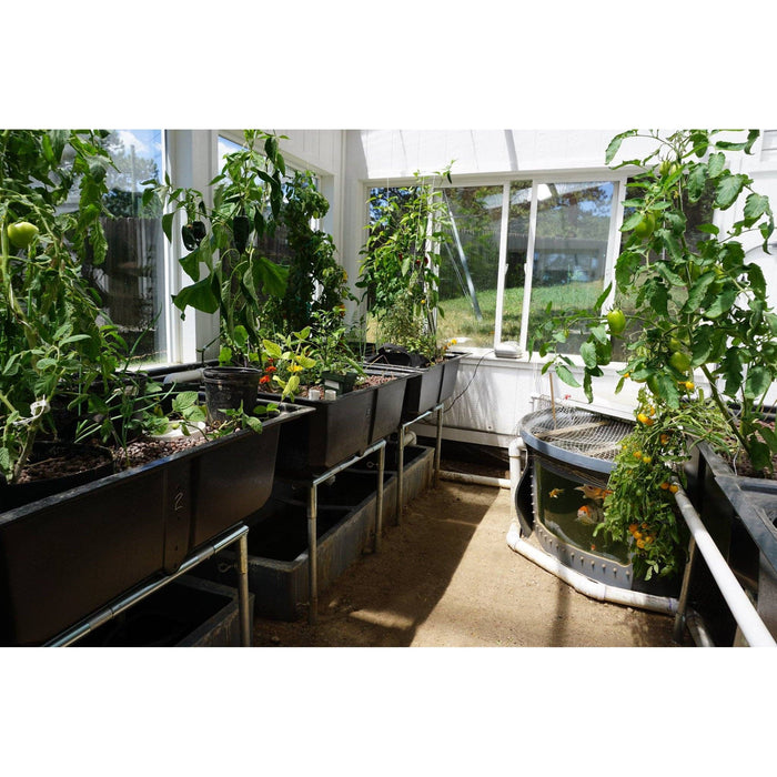 Fish Tank Window Kit - Aquaponics For Life