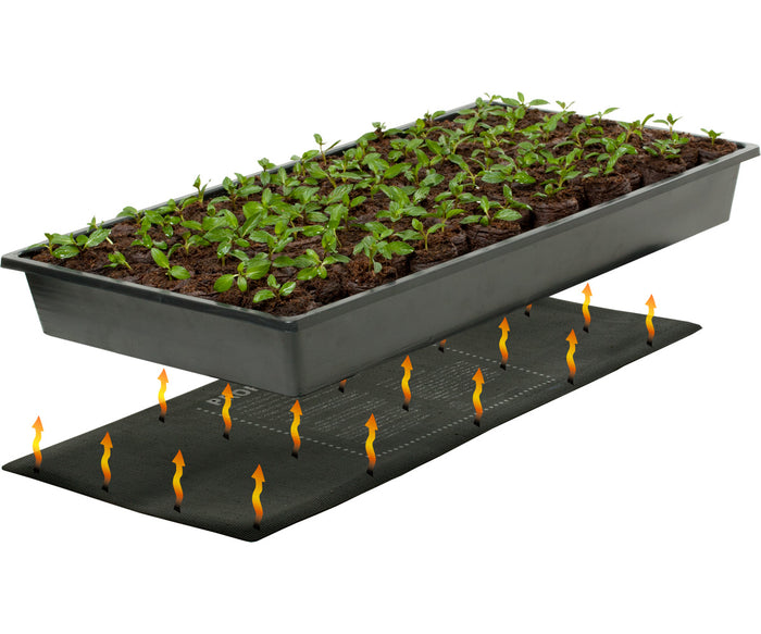 A black tray with plants growing on top of it, perfect for indoor gardening and seed starting in a TAS Germination Station with Heat Mat, 72-Cell Pack, 2" Dome.