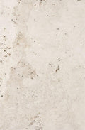 Heritage Ivory 16x24 Matte Porcelain Tile