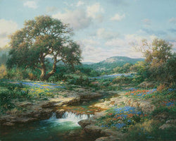 Hill Country Morning by Larry Dyke