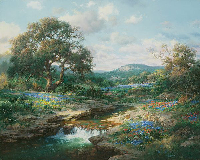Hill Country Morning by Larry Dyke