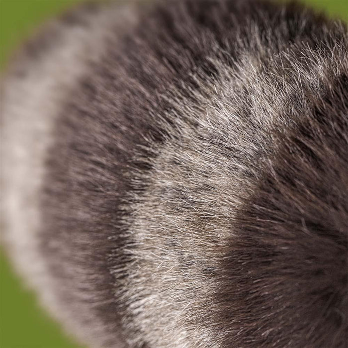Jellycat - Trixiwoo Raccoon-Jellycat-treehaus