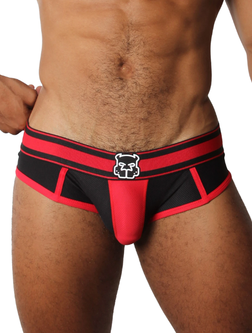 Kennel Club Cadet Brief