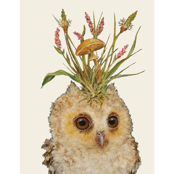 Louisa May Card