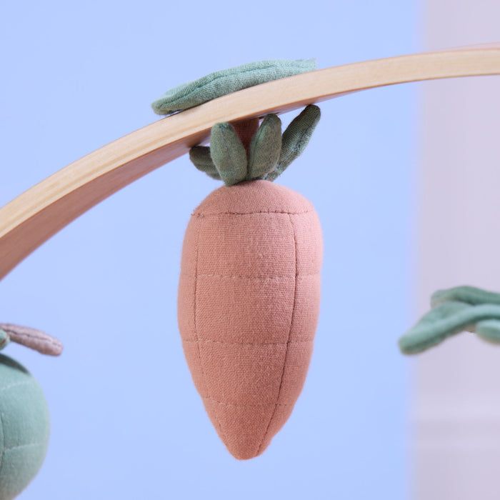 Close-up of soft carrot hanging toy with green leaf detail suspended from natural wooden playgym arch.