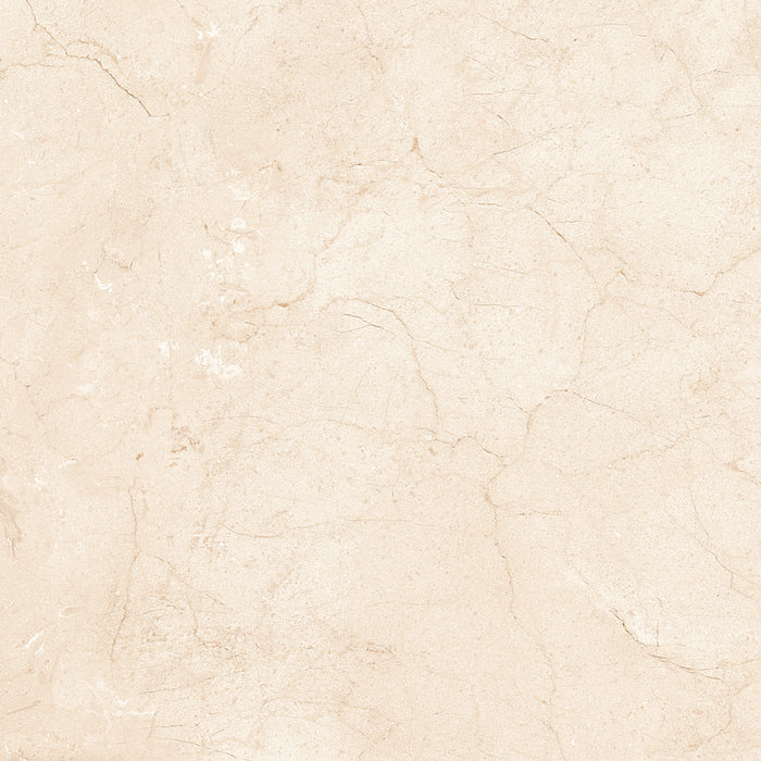 Marfil Crema 24x24 Polished Marble Look Porcelain Tile