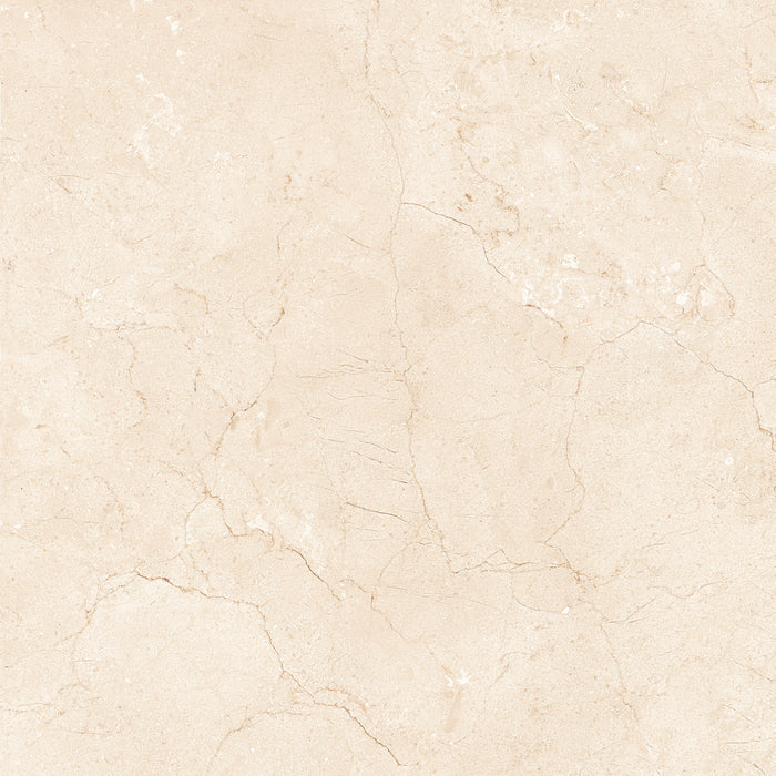Marfil Crema 24x24 Polished Marble Look Porcelain Tile