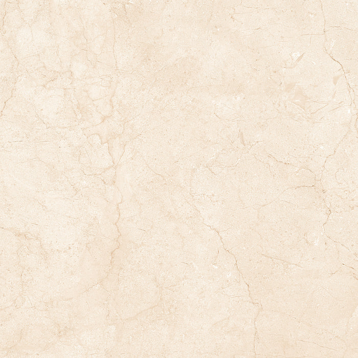 Marfil Crema 24x24 Polished Marble Look Porcelain Tile