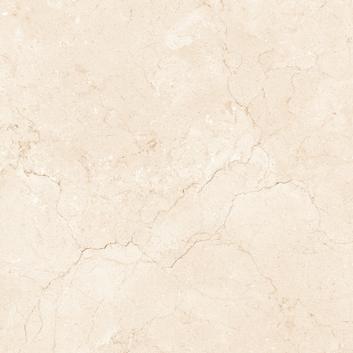 Marfil Crema 24x24 Polished Marble Look Porcelain Tile
