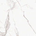 Marmorea Estatuario 24x24 Marble Look Porcelain Tile