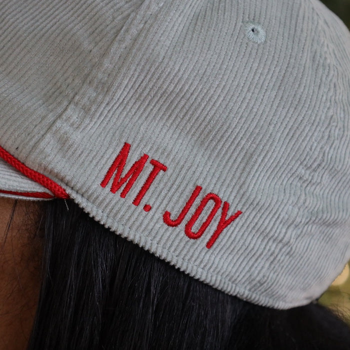 [ mt. joy x fightin phils ] grey cord - Official League