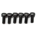 Non-Fine Tuner Saddle Mounting Screws (6) - AxLabs