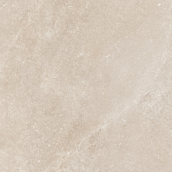 24x24 Matte Porcelain Tile
