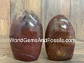 Petrified Wood Free Form #2