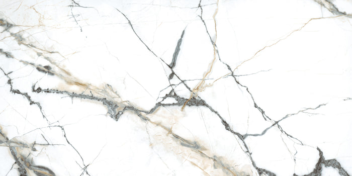 Pietra Marme de Milano 24x48 Marble Look Porcelain Tile