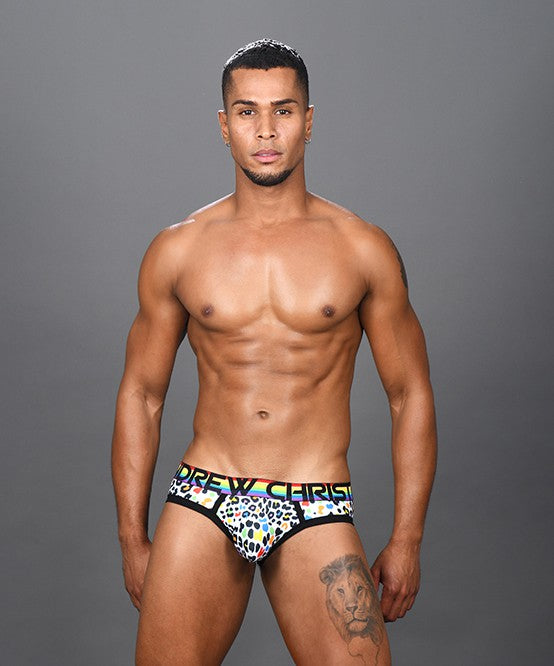Pride Animal Party Brief