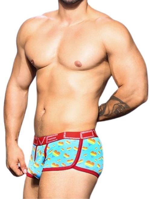 Pride Love Heart Trunk