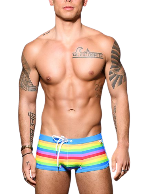 Pride Stripe Swim Trunk