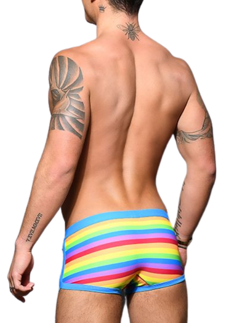 Pride Stripe Swim Trunk