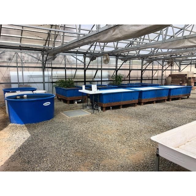 A Private Escondido Aquaponics System Tour event showcasing a large greenhouse with numerous blue containers, housing advanced aquaponic systems by Go Green Aquaponics.