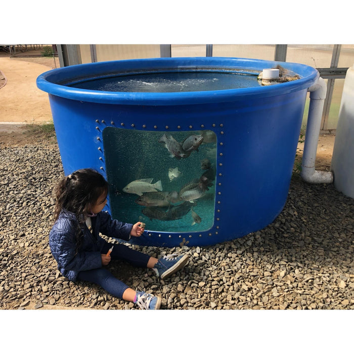 A little girl fascinated by the Go Green Aquaponics system in front of a blue fish tank.